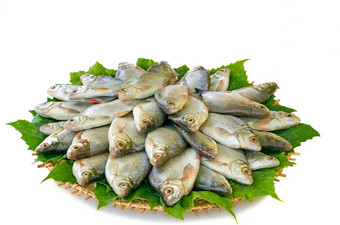 河鱼鲤鱼绿色轮菜