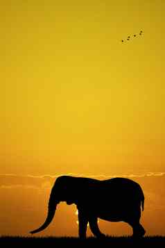 大象日落