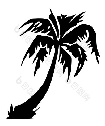 热带棕榈树轮廓