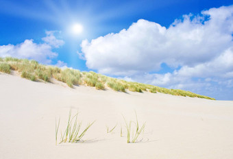 海滩沙丘美丽的阳光