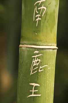 中国人符号雕刻竹子