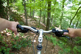山骑自行车森林