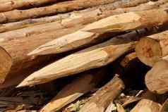 木材工业应用程序