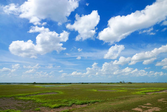 云蓝色的天空绿色草地野生动物保护区
