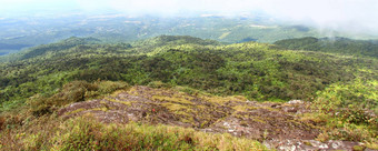 波多黎各国热带雨林