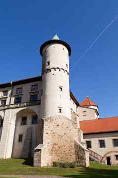 视图城堡新增功能樱桃波兰背景蓝色的天空