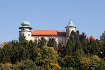 视图城堡新增功能樱桃波兰背景蓝色的天空