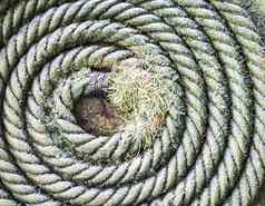 圆形成螺旋形地航海绳子