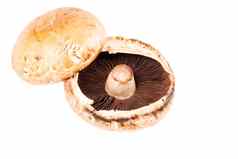 Portabello蘑菇水平