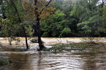 维杜尔河<strong>洪水</strong>重降雨