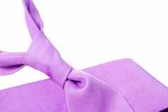平原紫色的业务脖子领带