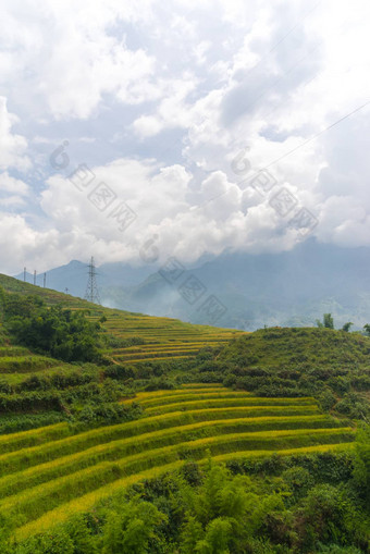 美丽的视图山梯田字段