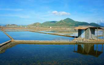 美丽的景观生理盐水提起越南农村