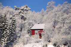 红色的小屋冬天森林