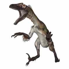 恐龙utahraptor