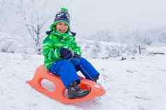 男孩有趣的雪橇冬天公园