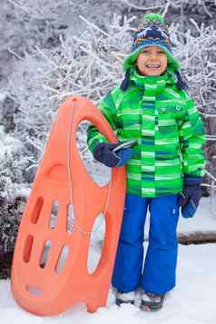男孩有趣的雪橇冬天公园
