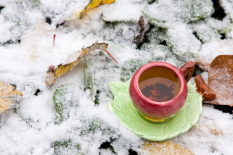 杯茶背景白雪覆盖的叶子