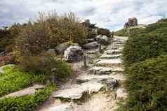 多石的楼梯假山基辅植物花园