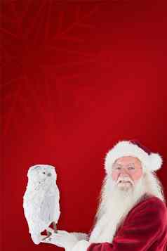 复合图像父亲圣诞节持有猫头鹰