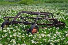生锈的农场impliment白色骡子的耳朵花惠氏向日葵属弗里蒙特县爱达荷州美国