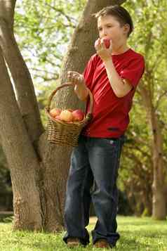 男孩吃苹果