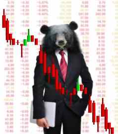 熊市场股票投资概念