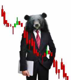 熊市场股票投资概念