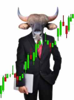 牛市场股票投资概念