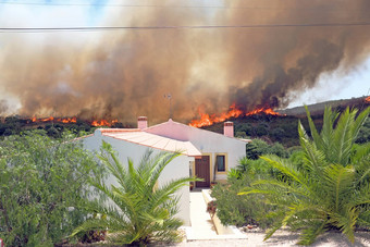 巨大的森林火威胁房屋葡萄牙