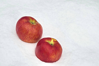 苹果水果冷藏雪白花园