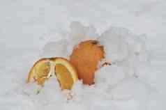 橙色一半橙色水果冷藏雪白花园