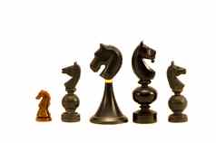 黑色的马国际象棋块孤立的白色背景