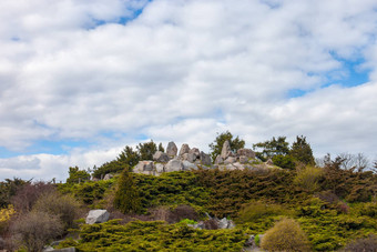 假山高山花园基辅植物花园