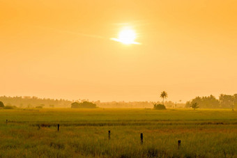 明亮的橙色太阳日<strong>出场</strong>热带地区