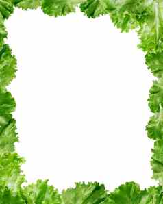 绿色生菜沙拉框架