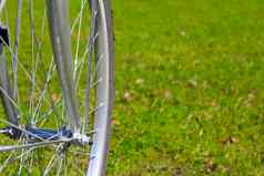 自行车轮