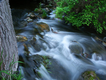 虚张声势溪状态自然区域威斯康辛州