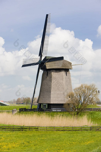 风车阿尔克马尔荷兰