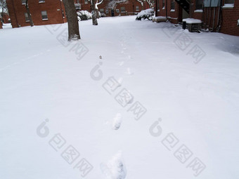 雪的足迹