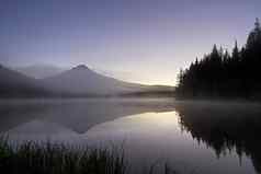 日出早....雾延龄草湖