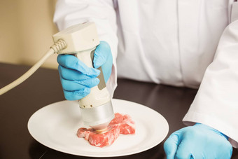 食物科学家设备肉