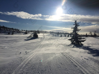 挪威滑雪