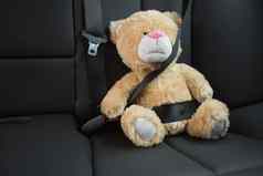 泰迪熊绑在座位带