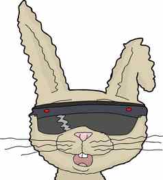 孤立的兔子虚拟现实镜头