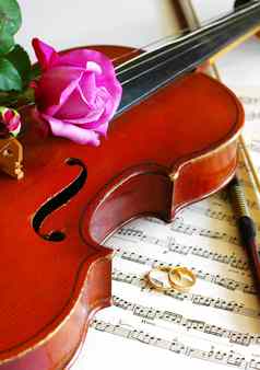婚礼环粉红色的玫瑰小提琴请注意