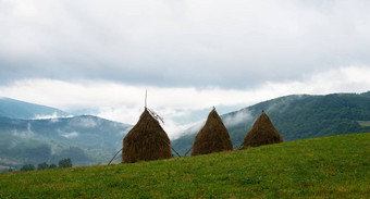干草堆乌克兰喀尔巴阡山