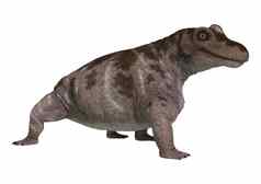 恐龙keratocephalus