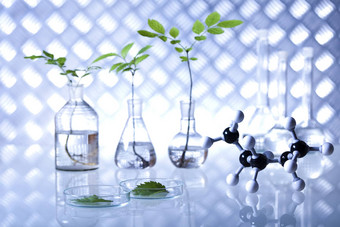 实验室玻璃器皿基因<strong>修改</strong>植物