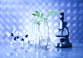 实验室玻璃器皿基因修改植物